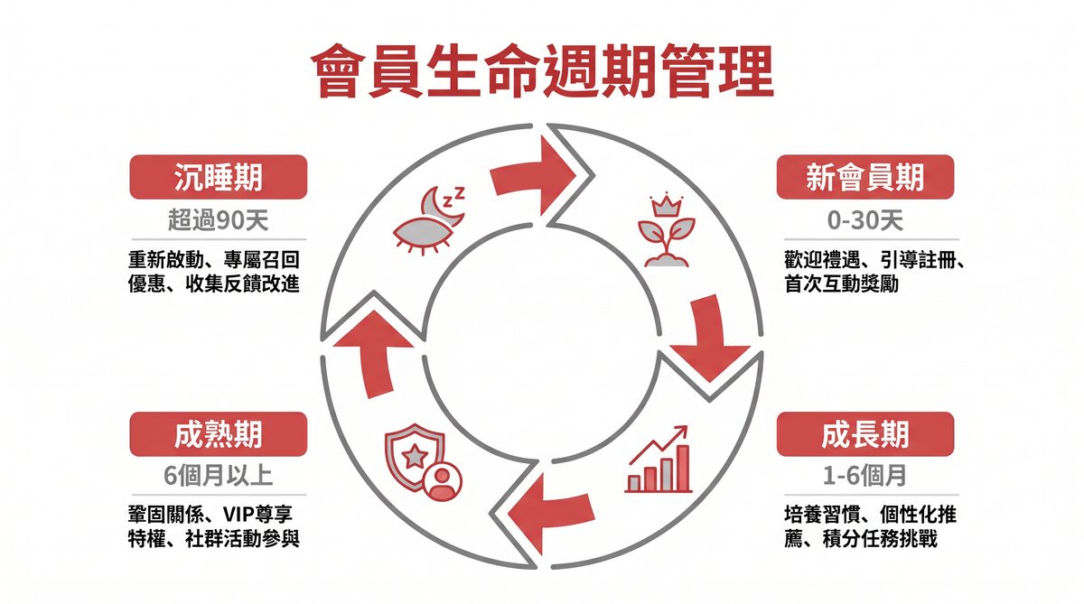 會員生命週期管理：新會員期、成長期、成熟期、沉睡期